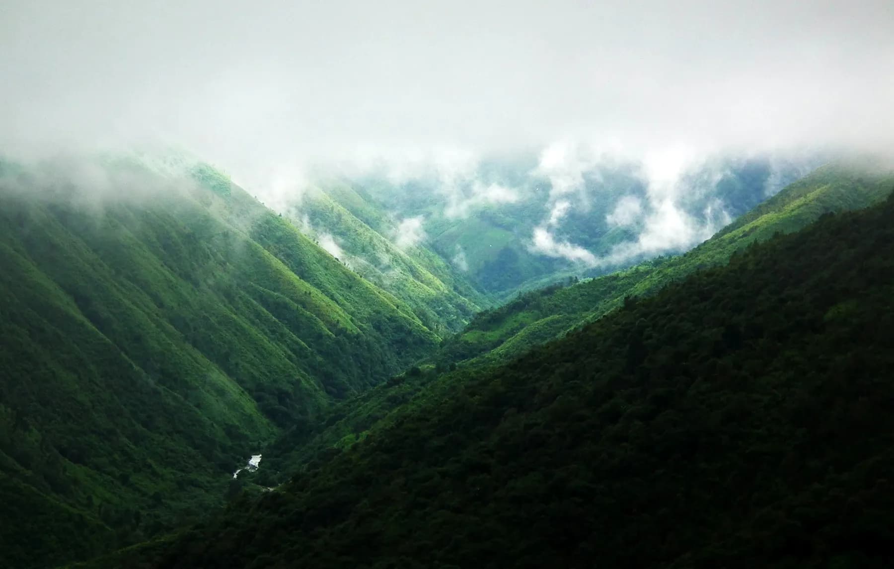 Mist over green hills