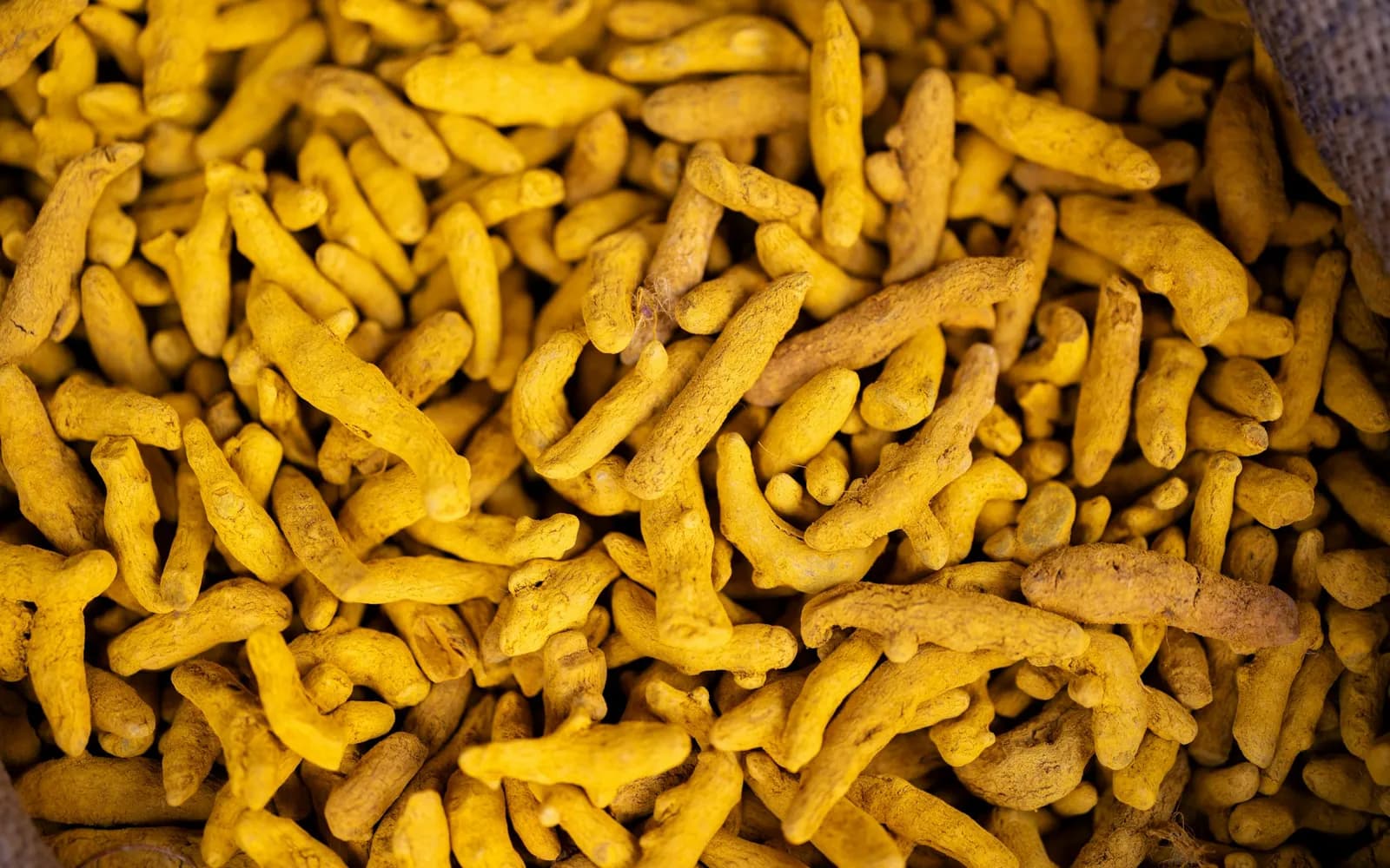 A pile of dried turmeric roots